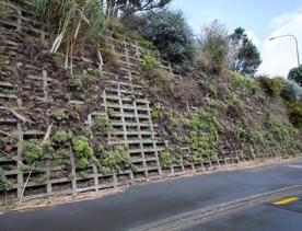 The urban setting of the Hutt Road Ngauranga Interchange, where highways got over tunnels with walls that once had graffiti.