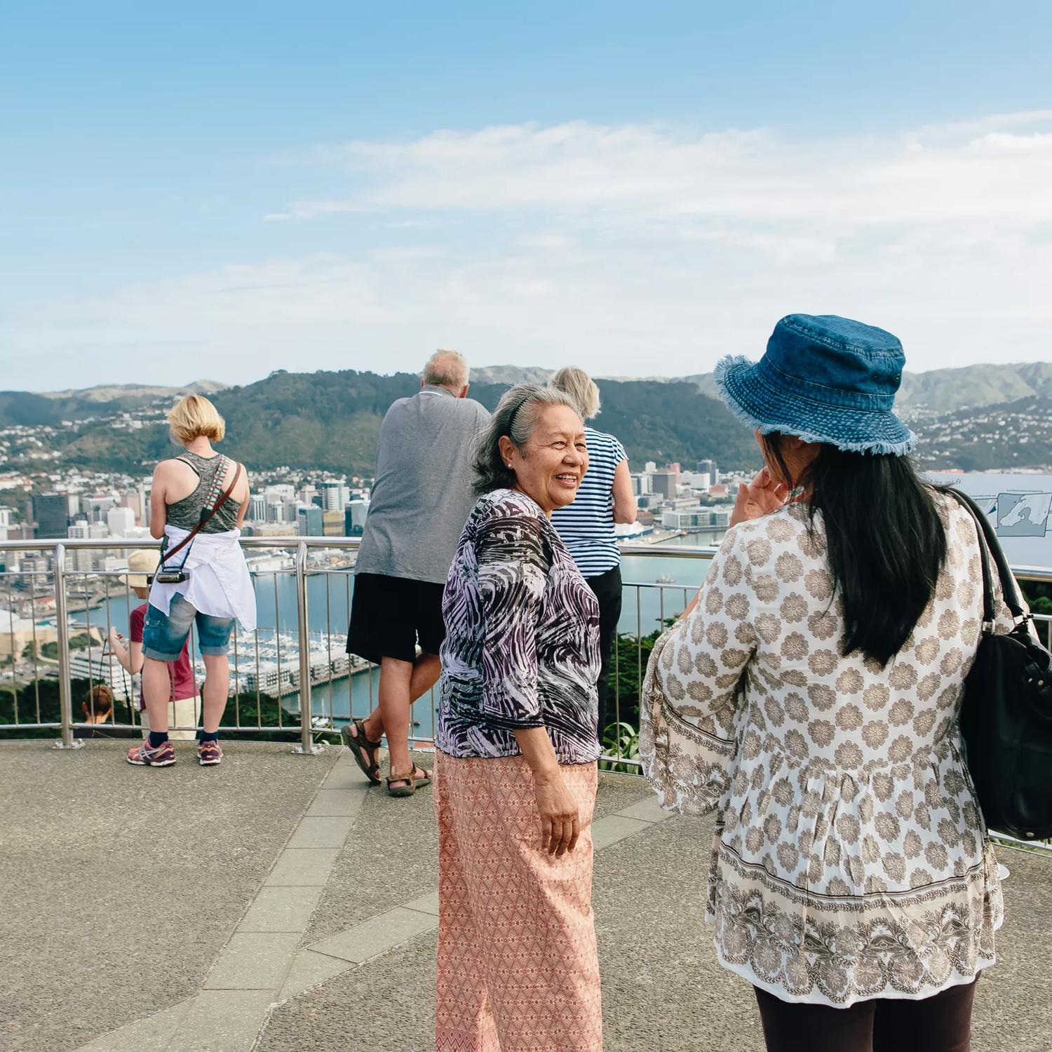 People atop Mount Victoria looking over Wellington.