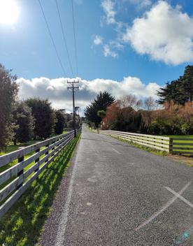 Ohariu Valley Road in Wellington travels through a slice of quintessential Kiwi countryside.