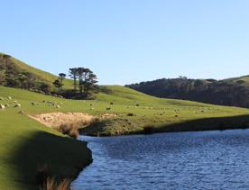 A rural setting with panoramic seascapes, Pikarere Farm is an iconic sheep and beef station overlooking Titahi Bay in Porirua, New Zealand.