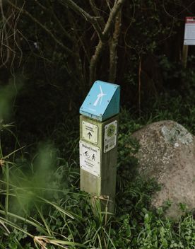 A section of the Transient trail in Waimapihi Reserve. The dirt trail goes around burms, onto wooden platforms, and has great views of the city.