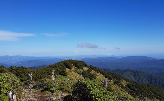 The ridgeline of Kapakapanui Hut Track in the Tararua Range.