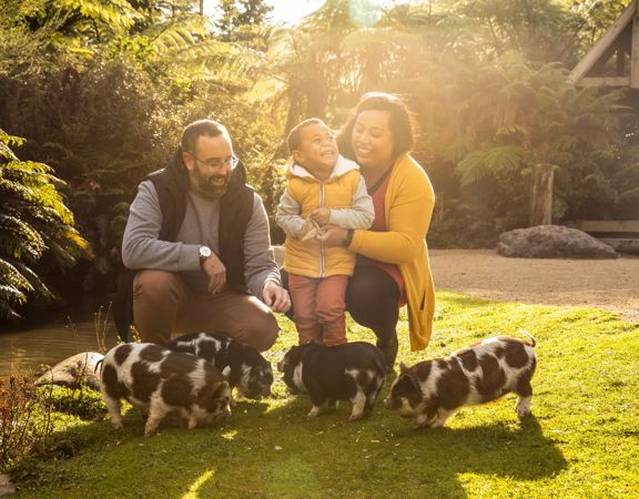 A family with a young child play with piglets on the grass at Staglands.