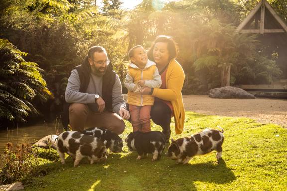 A family with a young child play with piglets on the grass at Staglands.