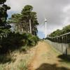 The Fenceline Trail in Waimapihi Reserve. It travels alongside the fence of Zealandia, amongst trees, to the Brooklyn Wind Turbine.