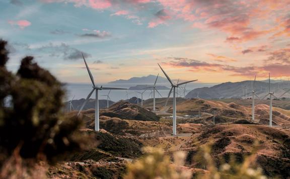 The Mākara Wind Farm located near Mākara Beach during golden hour.