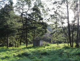 Mangaroa Valley Road screen location, a scenic rural setting with native forest, farmland, and a mountainous backdrop.