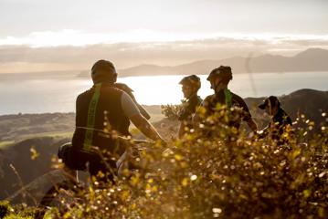 Four cyclists stop to rest by a bush in the early morning sunlight on Red Take Track at Whareroa Farm. 