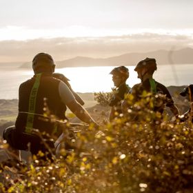 Four cyclists stop to rest by a bush in the early morning sunlight on Red Take Track at Whareroa Farm.