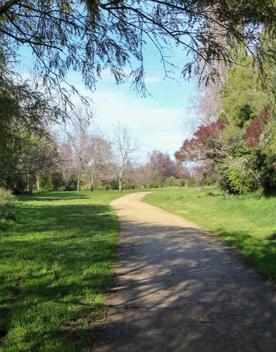 The screen locations for Masterton, Wairarapa. Named best small town in 2017, it features gardens, historic buildings, modern buildings, suburban areas, bridges, and streams.