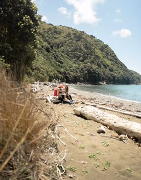 Two people sit on a log on the beach on Kapiti Island.