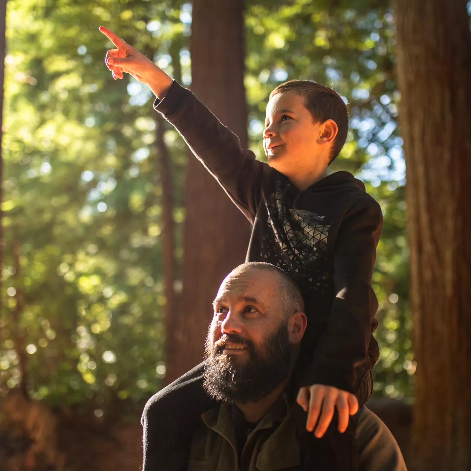 A child on an adults shoulders pointing to the trees at Pūkaha National Wildlife Centre.