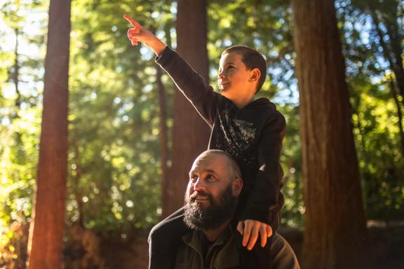 A child on an adults shoulders pointing to the trees at Pūkaha National Wildlife Centre.