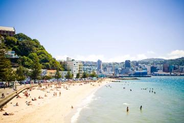 The busy beach front at Oriental Parade with Wellington City behind.