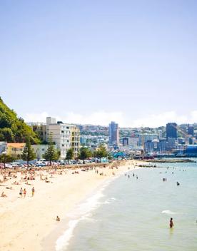 The busy beach front at Oriental Parade with Wellington City behind.