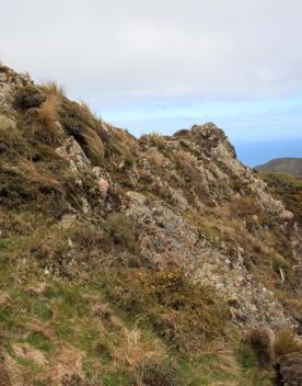 Long Gully Bush Reserve comprises 107 hectares of regenerating forest. It sits roughly 5 kilometres southwest of Wellington City, surrounded by the suburbs of Karori and Brooklyn.