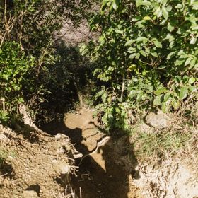 Looking down Ngā Ara o Rangituhi mountain biking/walking trails.