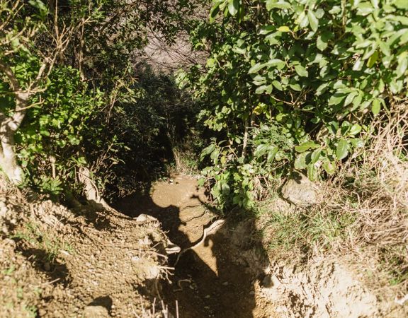 Looking down Ngā Ara o Rangituhi mountain biking/walking trails.