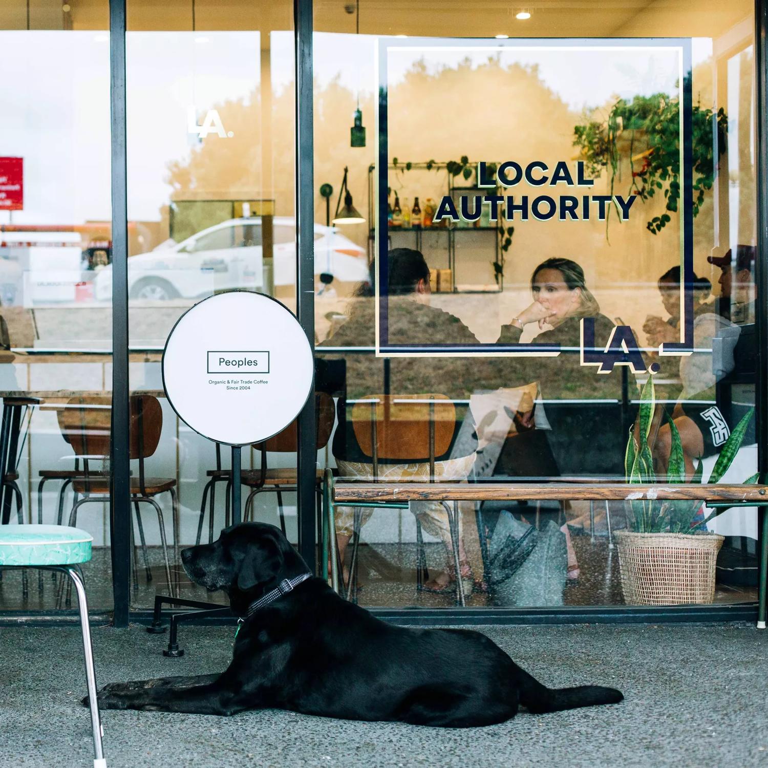 A person sitting outside Local Authority in Porirua eating food. A black labrodor dog sits at their feet.