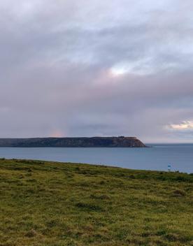 An expansive, coastal area of park and wilderness just north of the capital. With 180 hectares of open space and pockets of native bush, Whitireia Park is where people in Porirua come to roam on foot, bike, or hoof.