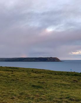 An expansive, coastal area of park and wilderness just north of the capital. With 180 hectares of open space and pockets of native bush, Whitireia Park is where people in Porirua come to roam on foot, bike, or hoof.
