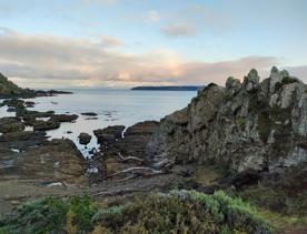 An expansive, coastal area of park and wilderness just north of the capital. With 180 hectares of open space and pockets of native bush, Whitireia Park is where people in Porirua come to roam on foot, bike, or hoof.