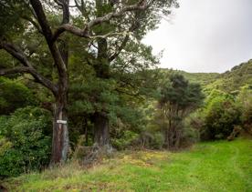 Camp Wainuiomata screen location. Has several buildings and is surrounded by forest and bush.