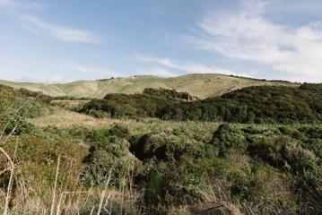 The view of rolling grassy hills, and native New Zealand bush under a blue sly with scattered white clouds from the Ara Harakeke Path.