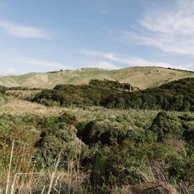 The view of rolling grassy hills, and native New Zealand bush under a blue sly with scattered white clouds from the Ara Harakeke Path.