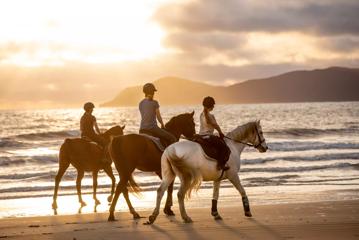 Three people riding horses along the beach in Kāpiti Coast at sunset with Kapiti Island in the background.