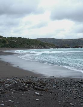 This clothing-optional beach is a good spot for scenic walks and wildlife spotting. At the western entrance of Wellington Harbour, picturesque Breaker Bay beach is part of the Oruaiti Reserve.