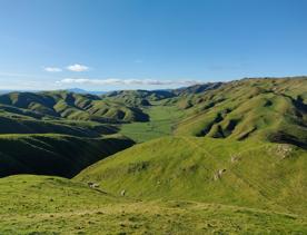 A short drive from the city is a stunning venue. Perched on a rugged coastline, it has sweeping views over the Cook Strait and the South Island.