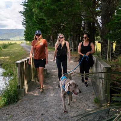 Three people and a dog walking across a small stream-crossing bridge on the Greytown to Woodside Trail.