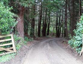 The Kiriwhakapapa Road Tararua Forest Park screen location, featuring walking trails and campsite opportunities in wild, natural landscapes.