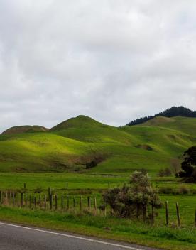 The screen location of Waitohu Valley Ōtaki, features native and exotic forests, pastoral lands, and wetlands.