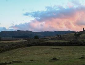 Corrugated iron sheds sit among the grassland of Wallaceville Farmland.