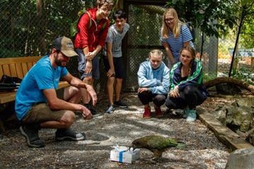 A group of teenagers and a staff member crouch down to look at a Kea unwrapping a box on a path in Ngā Mnau Nature Reserve, Kāpiti Coast.