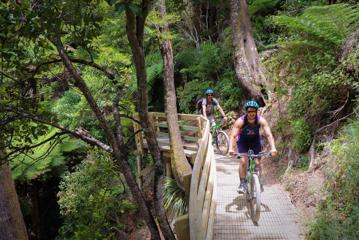 Two cyclists are riding on a wooden bridge on the Green Jersey Cycling Tour on the Remutaka Cycle Trail in Upper Hutt in the Wellington region.