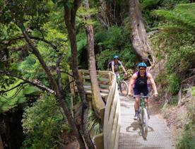 Two cyclists are riding on a wooden bridge on the Green Jersey Cycling Tour on the Remutaka Cycle Trail in Upper Hutt in the Wellington region.