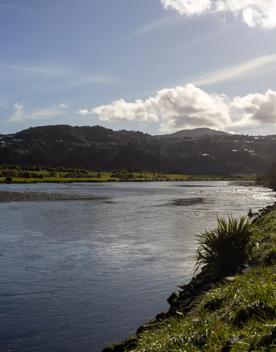 Ava railway bridge crossing over Hutt River