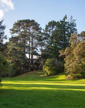 A well-equipped and popular outdoor space for families in Upper Hutt. On the edge of Te Awa Kairangi, Hutt River, Harcourt Park in Upper Hutt is a 40-minute drive north of Wellington.