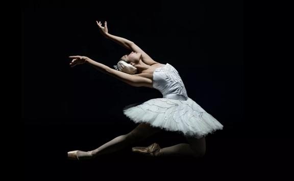 A royal New Zealand Ballet dancer performing in Swan Lake. They are wearing a white tutu. Their arms are extended back behind them in a dramatic pose.