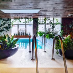 Inside Tory Urban Retreat, a pool sits underneath a window with green plants surrounding and a wooden ceiling.