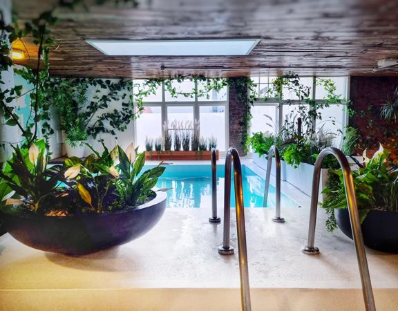Inside Tory Urban Retreat, a pool sits underneath a window with green plants surrounding and a wooden ceiling.