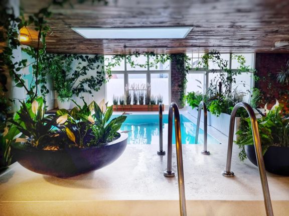 Inside Tory Urban Retreat, a pool sits underneath a window with green plants surrounding and a wooden ceiling.