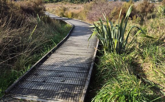 Boardwalk section of the Waikanae Estuary Trail.