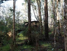 Mangaroa Valley Road screen location, a scenic rural setting with native forest, farmland, and a mountainous backdrop.