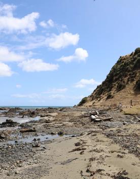 A secluded, sheltered beach located on private farmland. Pikarere Beach is a hidden inlet off Open Bay, just 5 kilometres from Porirua’s city centre.
