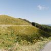 The Borderline trail in Belmont Regional Park, a gravel and grass trail down grassy hills.