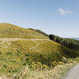 The Borderline trail in Belmont Regional Park, a gravel and grass trail down grassy hills.